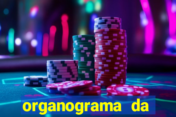organograma da cacau show